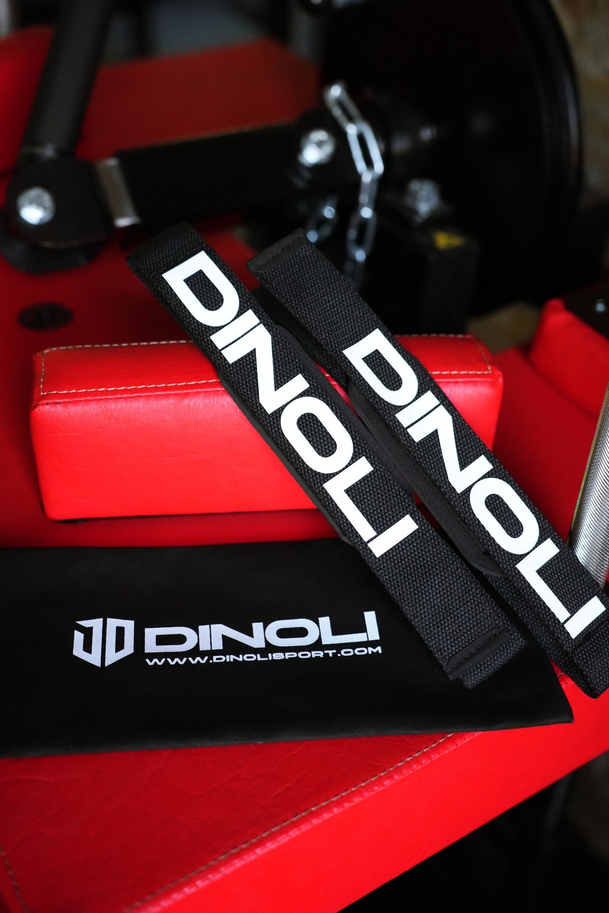 DINOLI Auto-Lock Lifting Straps with storage pouch