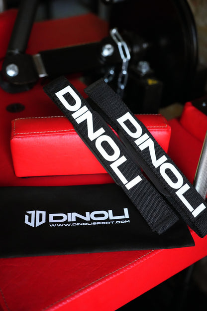 DINOLI Auto-Lock Lifting Straps with storage pouch